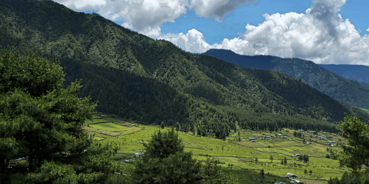 Visit Bhutan Home Page Phobjika Valley